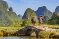 Chinese farmer walking with water buffalo on bridge