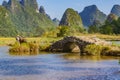 Chinese farmer walking with water buffalo in valley