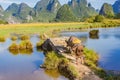 Chinese farmer with water buffalo, China. Royalty Free Stock Photo