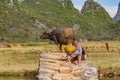 Chinese farmer with water buffalo, China. Royalty Free Stock Photo