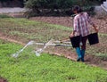 Chinese farmer watering vegetables