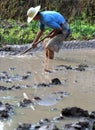 Chinese farmer working Royalty Free Stock Photo