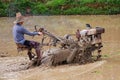 Chinese farmer working in rice field with a motorized plow