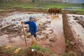 Chinese farmer works rice field Royalty Free Stock Photo