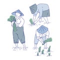 Chinese farmers planting rice seedlings. Vector set line art people in traditional costume asian agricultural culture.