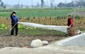 Chinese Farmers Working in Field Royalty Free Stock Photo