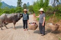 Chinese farmwomen on countryside with buffaloe and baby sitting in traditional basket in karst scenery near Li-River, China