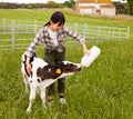 Chinese female farmer taking care of newborn calf in livestock farm