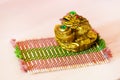 Chinese Feng Shui money frog for good luck and wealth Royalty Free Stock Photo