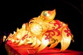 Chinese festive lantern Royalty Free Stock Photo