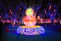 Chinese festive lantern Royalty Free Stock Photo
