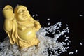 Chinese figurine in rice Royalty Free Stock Photo