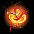 Chinese Fire Dragon New Year