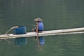 Chinese fisherman on bamboo raft