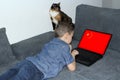 Chinese flag on a laptop display, a little schoolboy in jeans lies on a sofa and scrolls, a cat sits nearby, a concept of learning