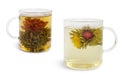 Chinese flower tea Royalty Free Stock Photo