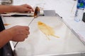 Chinese folk customs: syrup painting