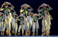Chinese folk dancers Royalty Free Stock Photo