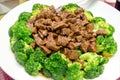 Chinese food a beef and broccoli plate Royalty Free Stock Photo