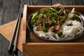 Chinese food - beef prepared with broccoli and rice noodles. Royalty Free Stock Photo