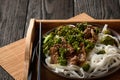 Chinese food - beef prepared with broccoli and rice noodles. Royalty Free Stock Photo