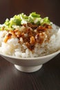 Chinese food, braised pork rice