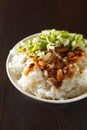 Chinese food, braised pork rice