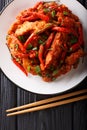 Chinese food chicken in Schezwan sauce close-up on a plate. Vertical top view