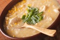 Chinese food: corn soup with chicken and onions close-up. horizontal Royalty Free Stock Photo