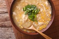 Chinese food: corn soup with chicken and onions close-up. horizontal top view Royalty Free Stock Photo