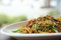 Chinese food fried noodle with ham Royalty Free Stock Photo