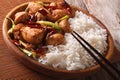 Chinese food: rice with chicken kung pao on a plate close-up. ho Royalty Free Stock Photo