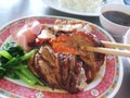 Chinese food style, Selective focus of chopsticks holding roasted duck in restaurant Royalty Free Stock Photo