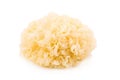 Chinese food tremella fuciformis white fungus isolated Royalty Free Stock Photo