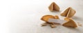 chinese fortune cookies with a blank paper slip for the prediction, panoramic format, bright background fades to white, copy space Royalty Free Stock Photo