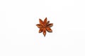 Chinese fragrant spice on white background - isolated anise star close-up view, spice used for making hot mulled wine. Decorative