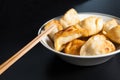 Chinese fried dumplings