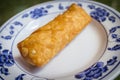 Chinese Fried Egg Rolls Royalty Free Stock Photo