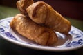 Chinese Fried Egg Rolls Royalty Free Stock Photo
