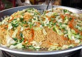 Chinese Fried Noodles with Vegetables Royalty Free Stock Photo