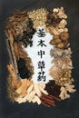 Chinese Fundamental Herbs for Holistic Healing