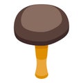 Chinese fungi icon isometric vector. Mushroom food