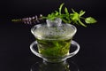 In a Chinese Gaiwan made of glass there is fresh warm peppermint tea against a dark background with fresh peppermint on the lid of Royalty Free Stock Photo