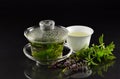 In a Chinese Gaiwan made of glass there is fresh warm peppermint tea in front of a dark background with a teacup, fresh peppermint Royalty Free Stock Photo
