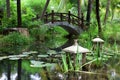 Chinese garden Royalty Free Stock Photo