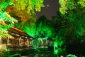 Chinese garden at night