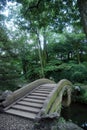 Chinese Garden Panorama Royalty Free Stock Photo