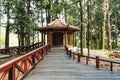 Chinese Gazebo with Japanese Cedar trees in the forest in Alishan National Forest Recreation Area in Chiayi County, Alishan. Royalty Free Stock Photo