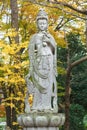 Chinese Goddess At Zojoji Temple