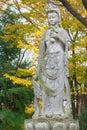 Chinese Goddess At Zojoji Temple